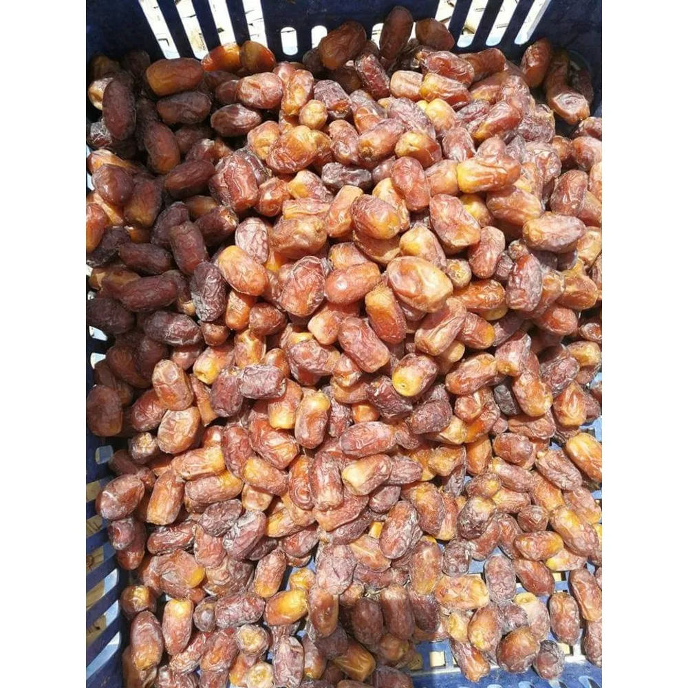High Quality Wholesale Begum Jangi Dates (Pitted) Pakistani Dates Fresh Organic Custom Packaging