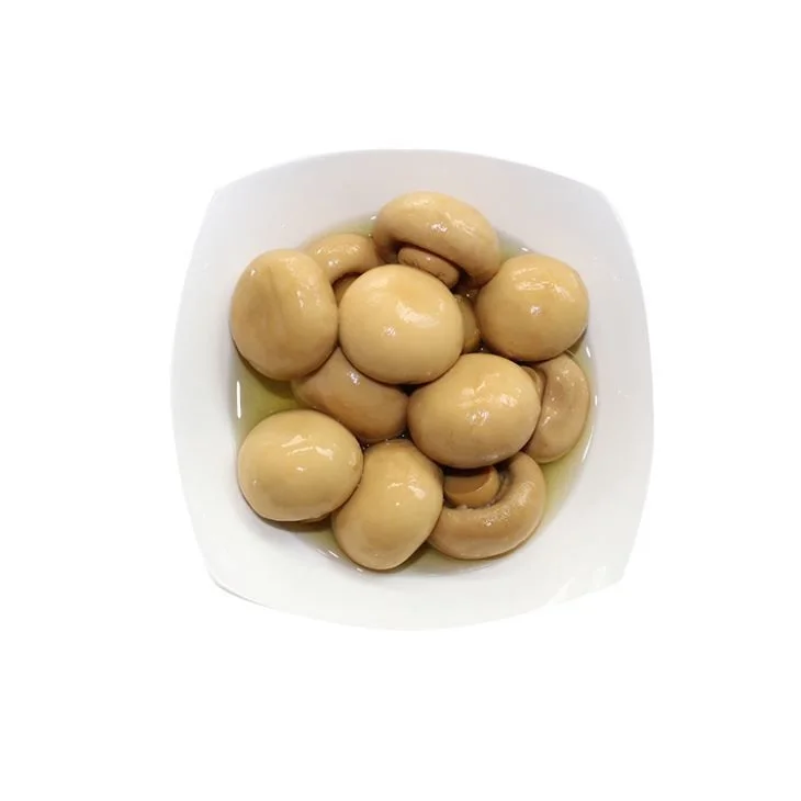 Best Brands Wholesale Prices Whole Salted Canned Champignon Mushroom