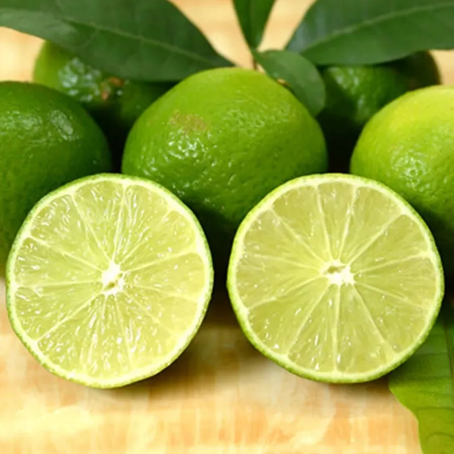 FRESH LEMONS/BEST Price LEMON Fresh Lime Seedness for EU Market Juicy Sour Oval-round NEWEST CROP 8 Kg - 15 Kg 1 Grade Vietnam