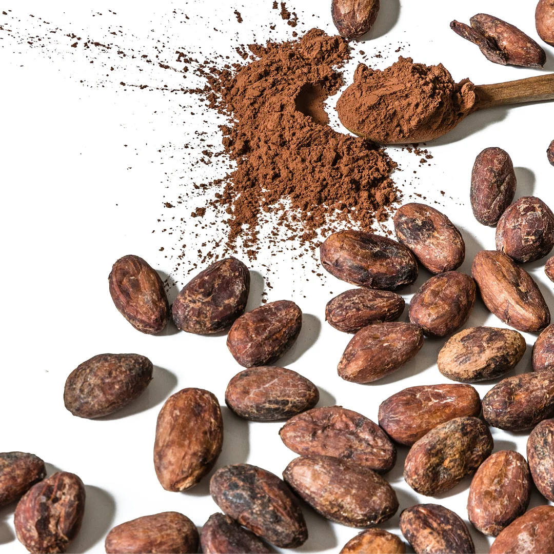 Cheap Bulk 100% Organic Vietnamese Instant Cocoa Powder Rich In Nutrients And Good For Health