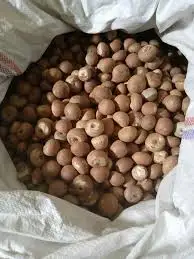 Betel/Areca Nut Best Quality Whole & Split Betel/Supari Nuts Selling Export Quality From Bangladesh