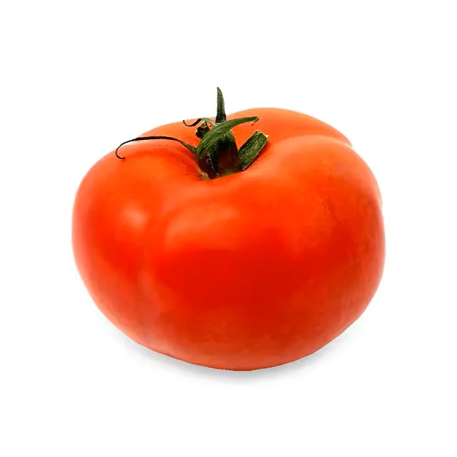 Fresh Cherry Tomatoes/ Fresh Tomatoes High Quality Premium Vegetable Food Product Wholesale Reasonable Price