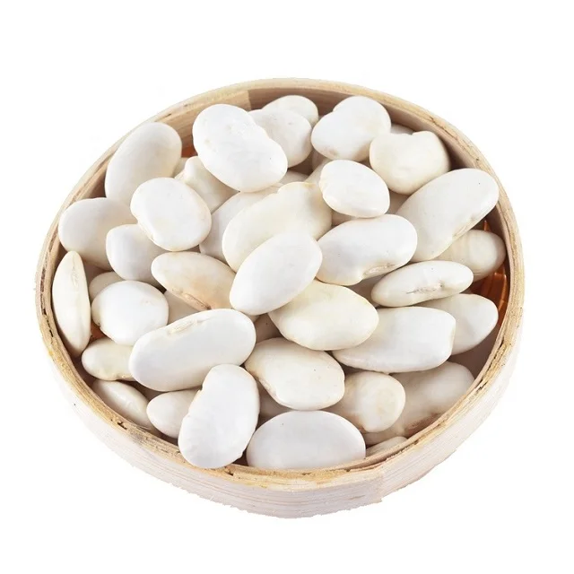 100% Organic Natural Agriculture Product Large White Kidney Beans Raw Style Dry White