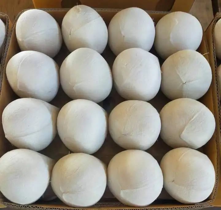 Premium Thai Fresh Coconut Polished Coconut onut perfume