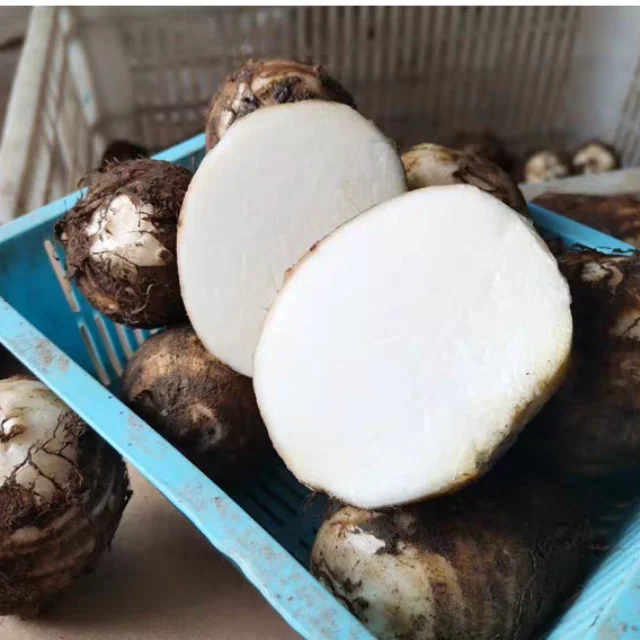 Овощной свежий новый свежий маленький TARO из Вьетнама