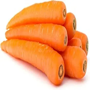 Hot sale ! Wholesales Fresh Vegetables Carrot