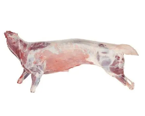 Заводская цена халяльное замороженное козье мясо