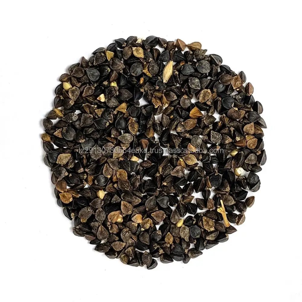 Wholesale hulled buckwheat / Buckwheat grain / buckwheat seed