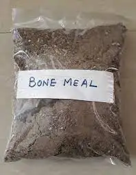 Top Quality Animal Feed Bone Meal Available in Best Quality  From Indian Exporter and Manufacturer With Best and Cheapest Price