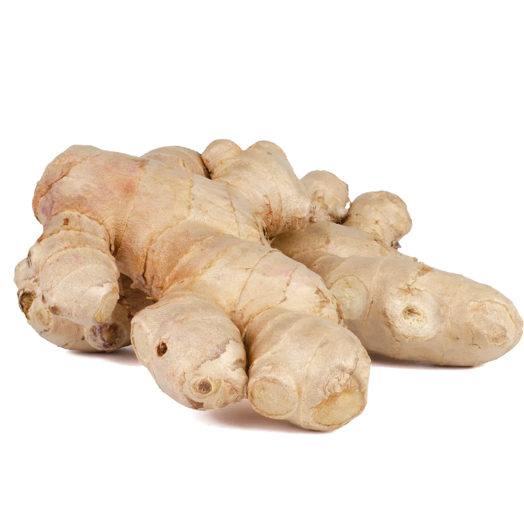 Wholesales 100% Organic Fresh Ginger The Cheapest Price Ginger Fresh Made in Vietnam Ready To Ship