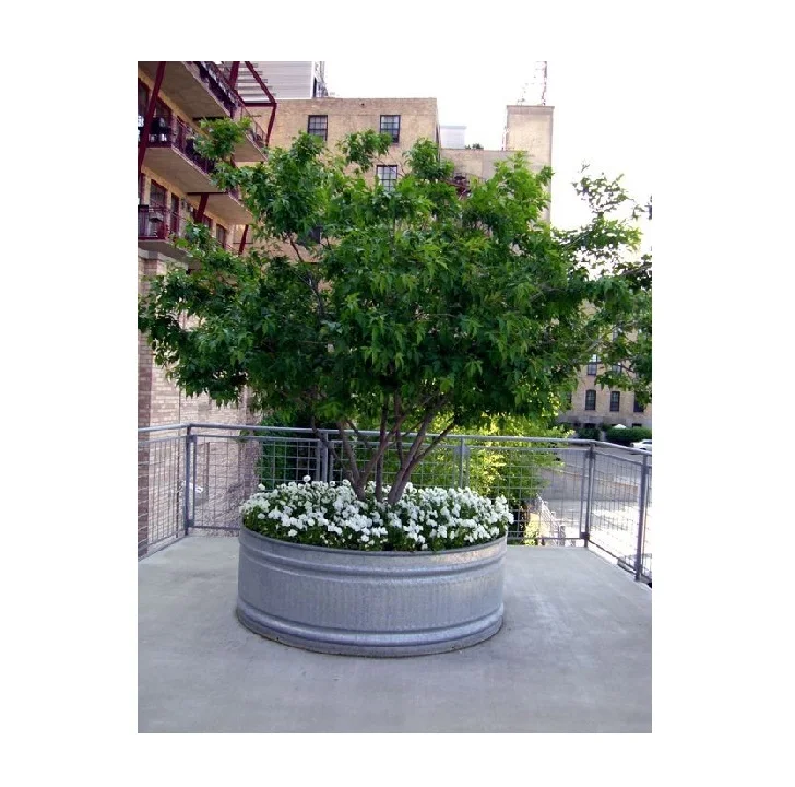 Wholesale high strength galvanized flower Planter for garden planter Metal Galvanized Tree & Plants basket