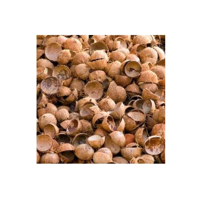 Top Selling Coconut Crushed Shell From India Exports