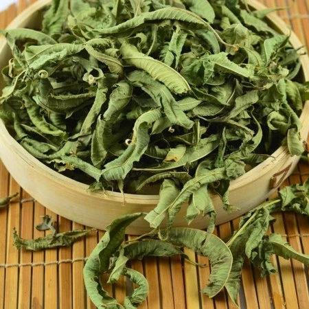 Lemon Verbena