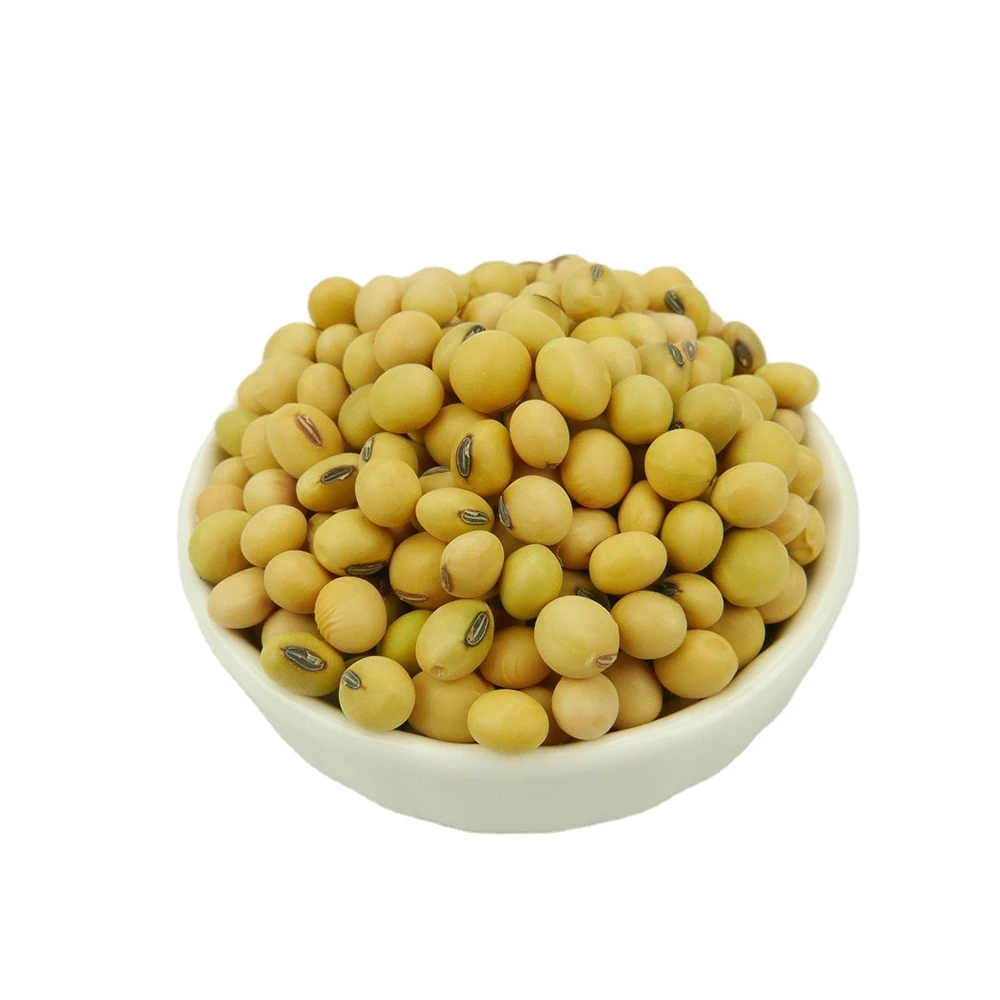 Соевые бобы натуральный Даал и импульсов 100% натуральных материалов без примесей, прямые поставки из индийских экспортеров и подарочные коробки с крышками