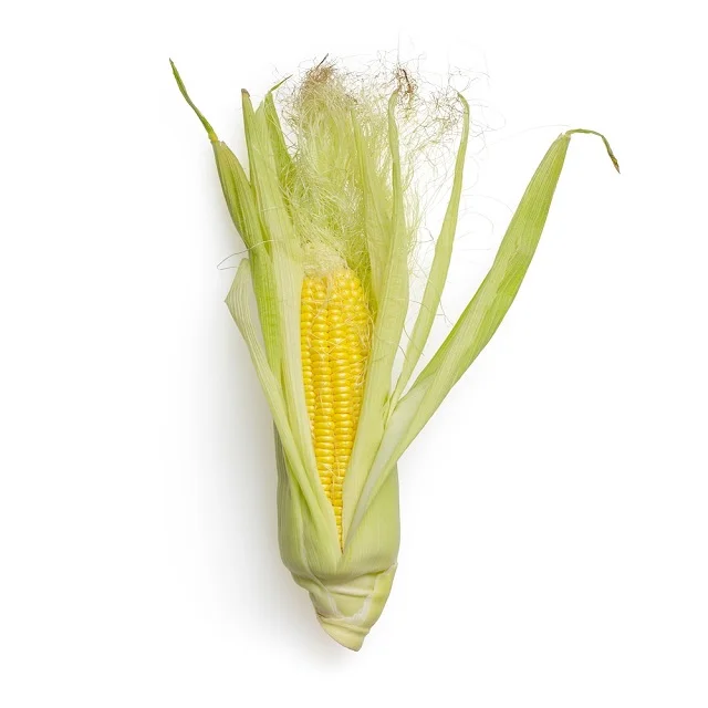 In Stock Fresh Organic Yellow Corn Maize Best Price Buy Bulk 50 kg Sweet Corn Seed Fast Delivery Available Now