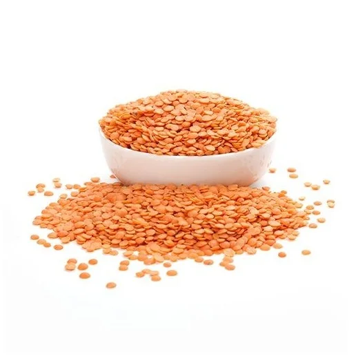 Wholesale Price Organic Canadian Red Lentils / Split Red Lentils Bulk Stock Available For Sale
