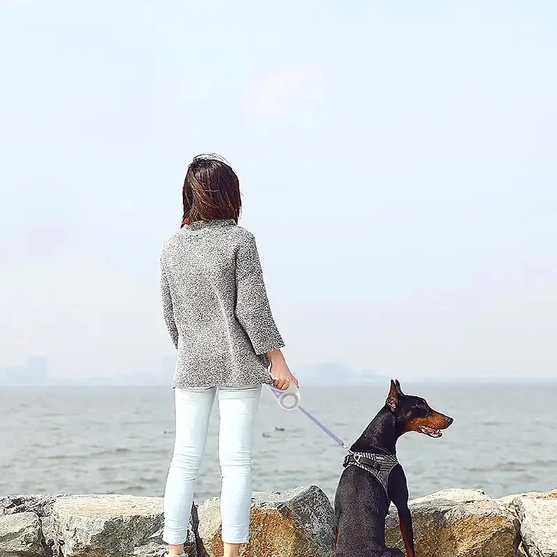 5M Retractable Dog Leash Automatic LED Light Luminous Roulette Leash Rope For Dogs Adjustable Pets Dog Walk Running Leads