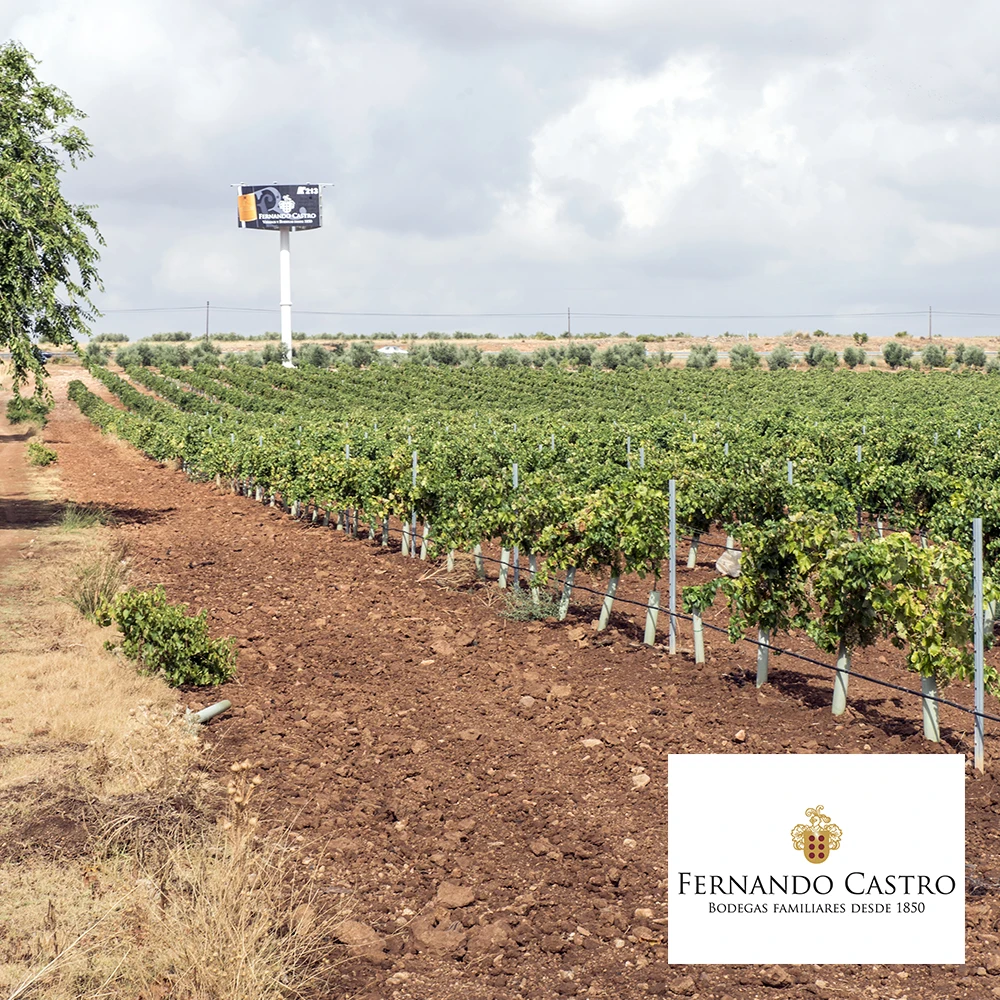Высококачественное Испанское Красное вино Vina Lastra Select