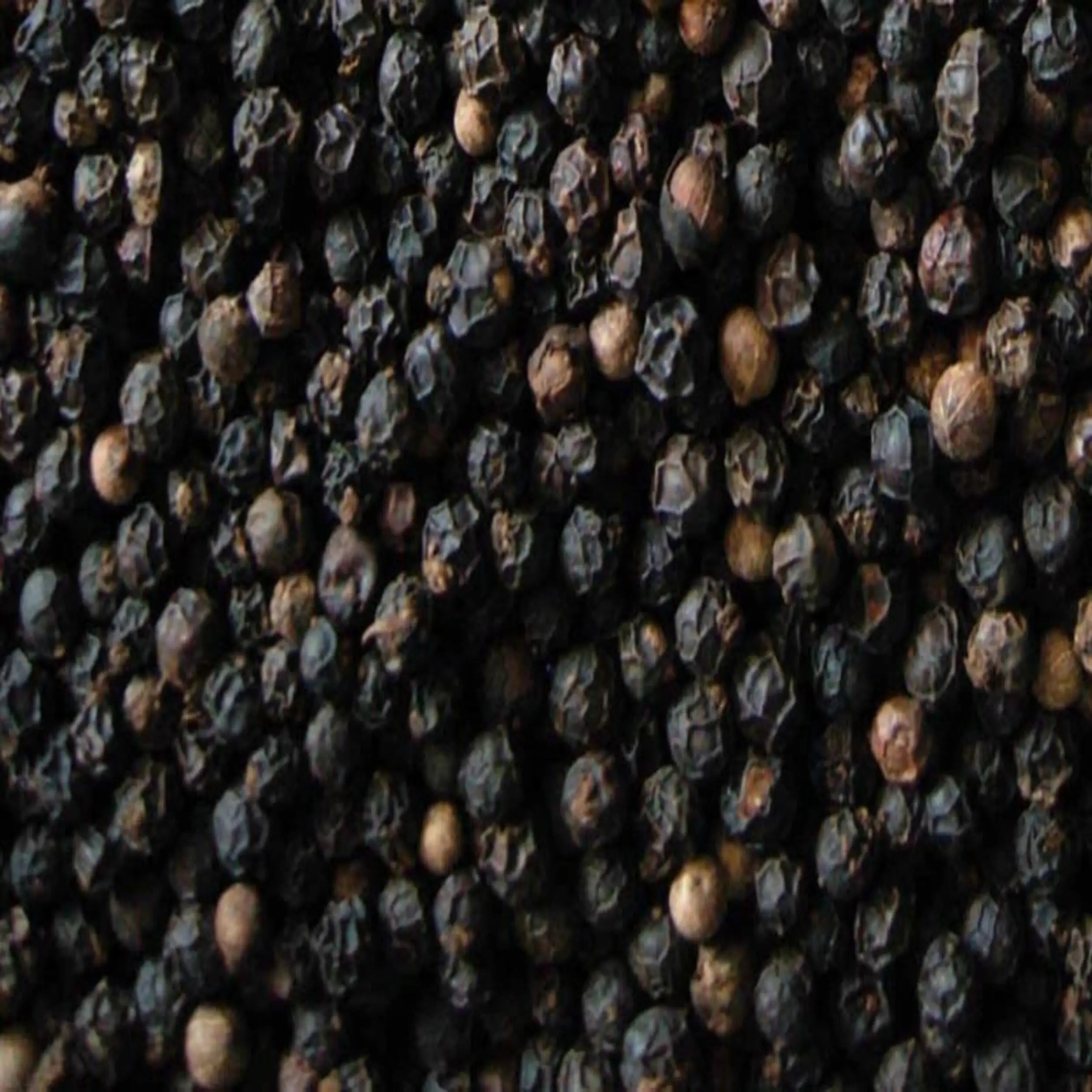 black-pepper-seeds (2).jpg