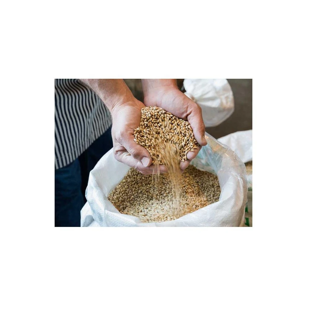 Ячменные зерна семена ячменя корма для животных