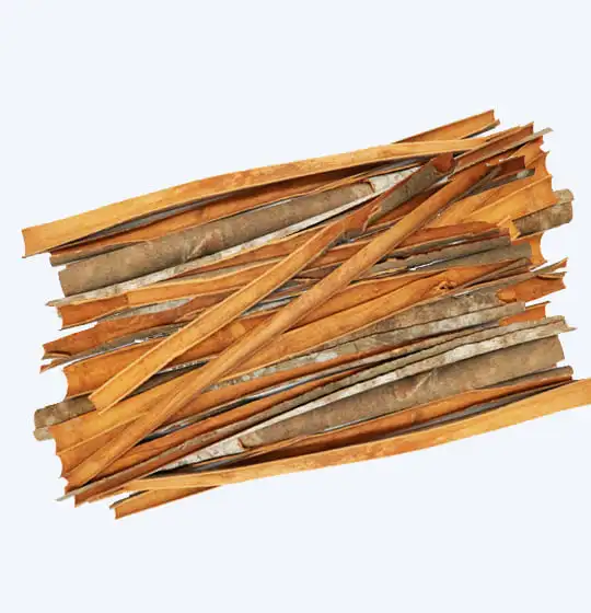 Monthly Hot Sale Split Cinnamon Cassia - Best Quality Spices - Vietnam Cinnamon - 7-Year Cassia/Cinnamon