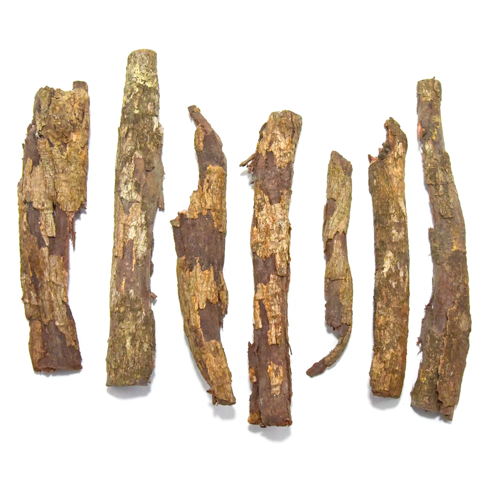 Premium Catappa Bark - Aquarium Blackwater - Dried Indian Almond Stick for Betta Fish & Shrimp Wood Decorations Tank Accessories