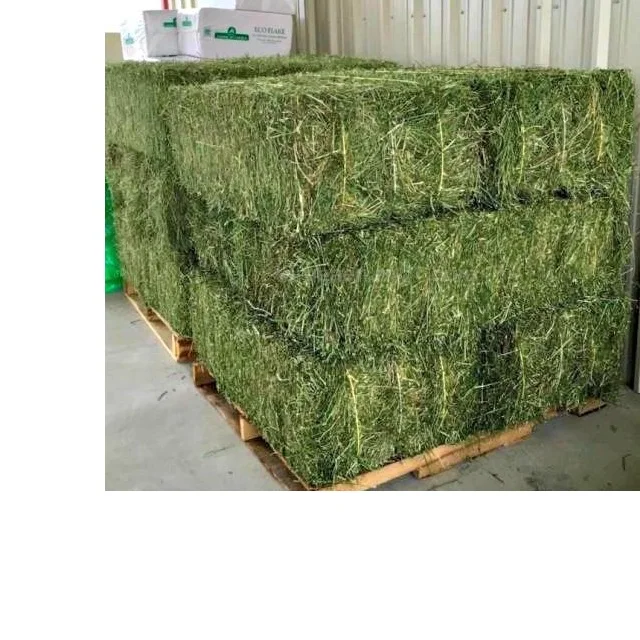 Premium Quality Best Selling Alfalfa Hay/Alfalfa Hays For Animal feeding /Lucerne Hay zoom Premium Quality Best Selling Alfalfa