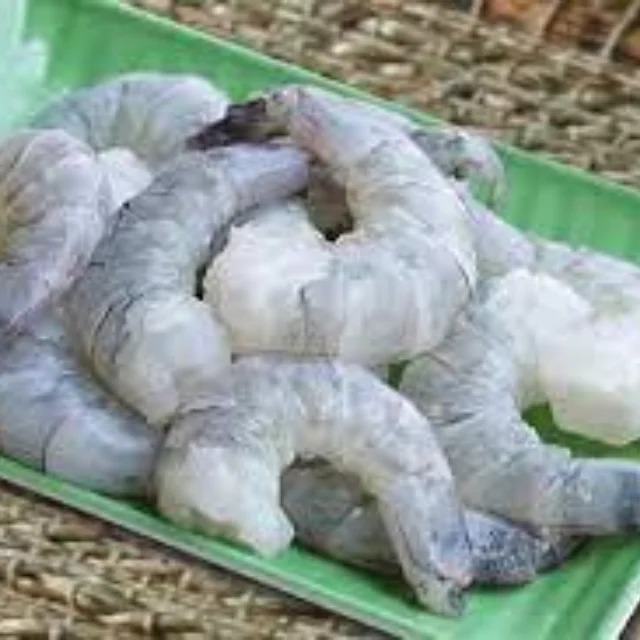 HIGH QUALITY Frozen PUD Deep Sea Shrimps