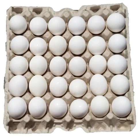 Белые и коричневые куриные яйца, страусиные яйца, индейки яйца оптом