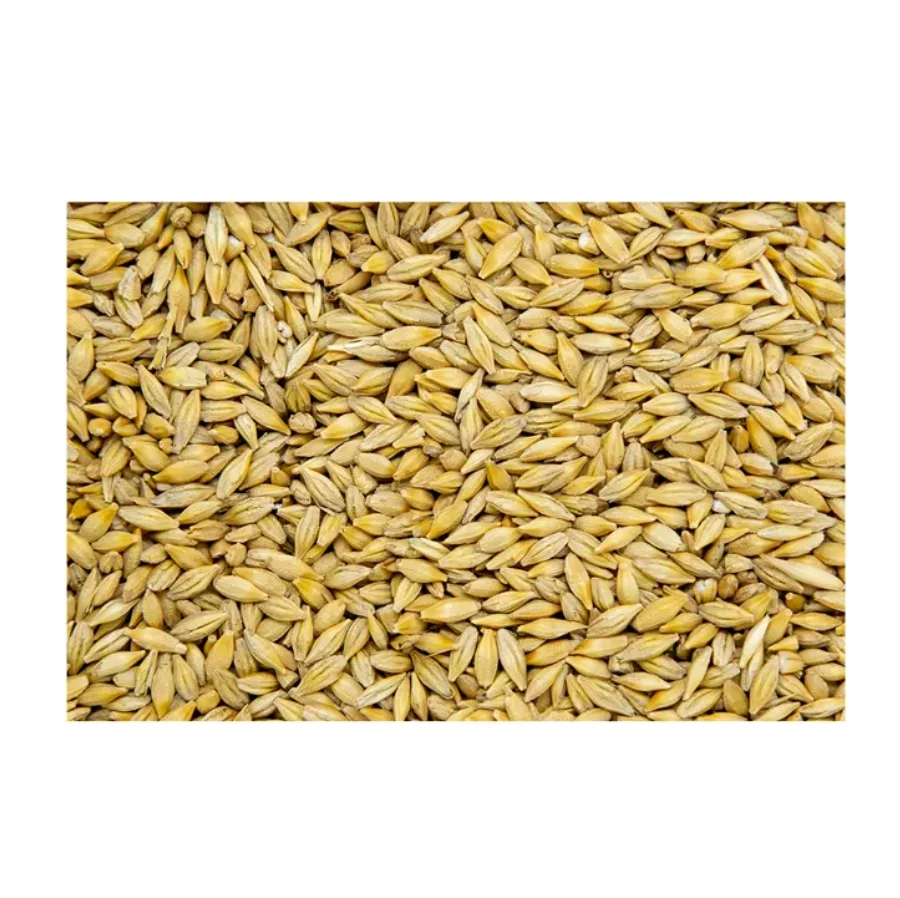 180000 (1).png