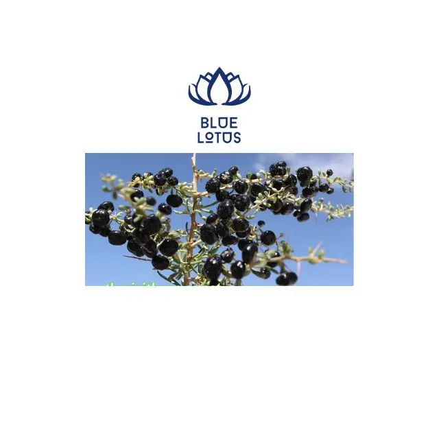 Черная ягода Годжи