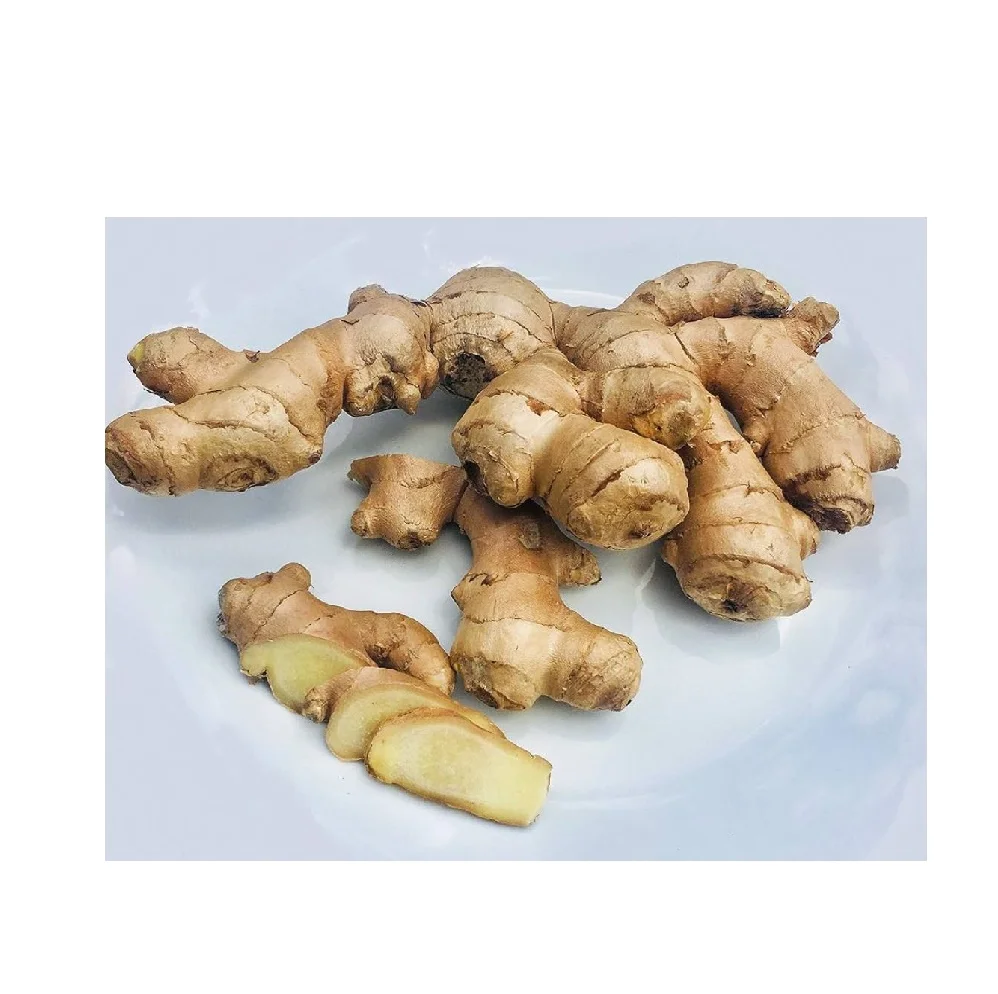 Good Quality Available Competitive Price Low Shipping Fee New Fresh Ginger With Good Quality From Factory
