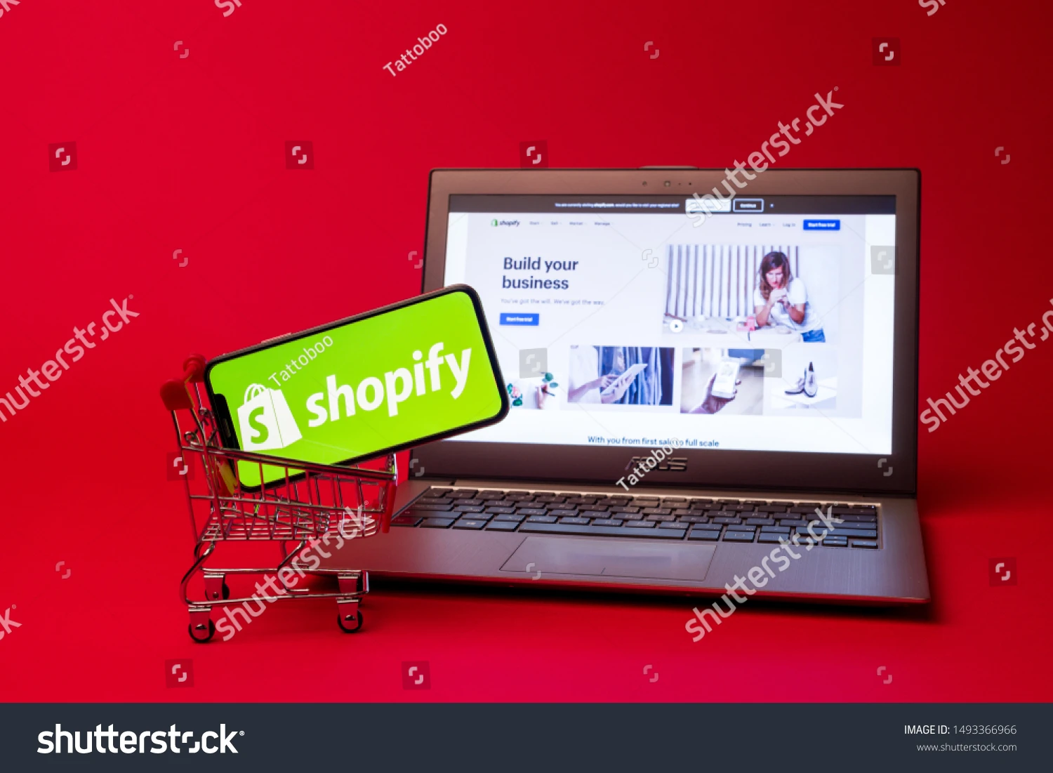 Shopify ecommerce Shopping Website Design and Development in India Website Design Service By two dice web design