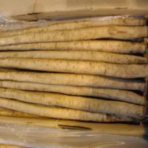 Quality Fresh burdock root wholesale price vacuum pack yellow burdock other fresh vegetables for sale