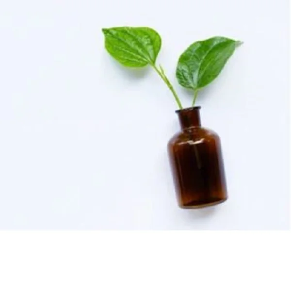 100% Pure Natural Betel Leaf Essential Oil Wild Cultivated Herbal Extract in Various Containers Best Price