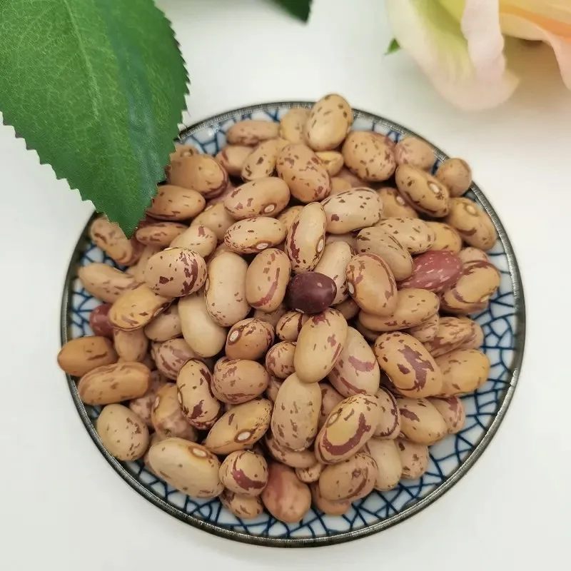 sugar beans 1.jpeg