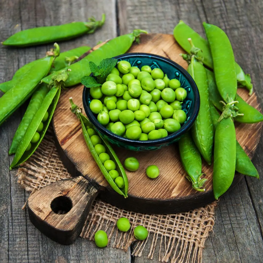 New Arrival Natural Green Peas Varieties Food Grade Pulses  Green Peas Wholesale Price