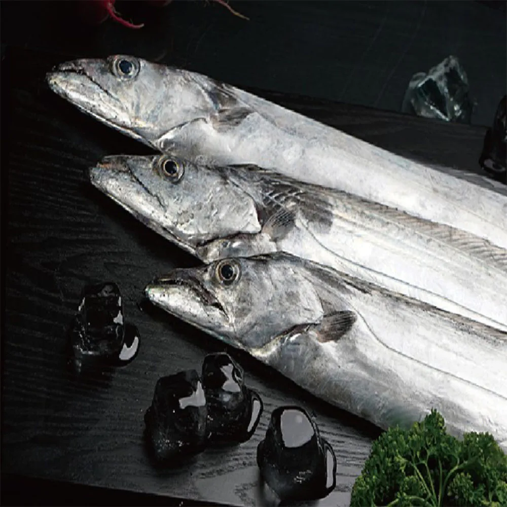 Chopped Fish Korean Food KOREA JEJU FROZEN CUTLASSFISH Korea Frozen Silver Hairtail fresh and nutritious fish