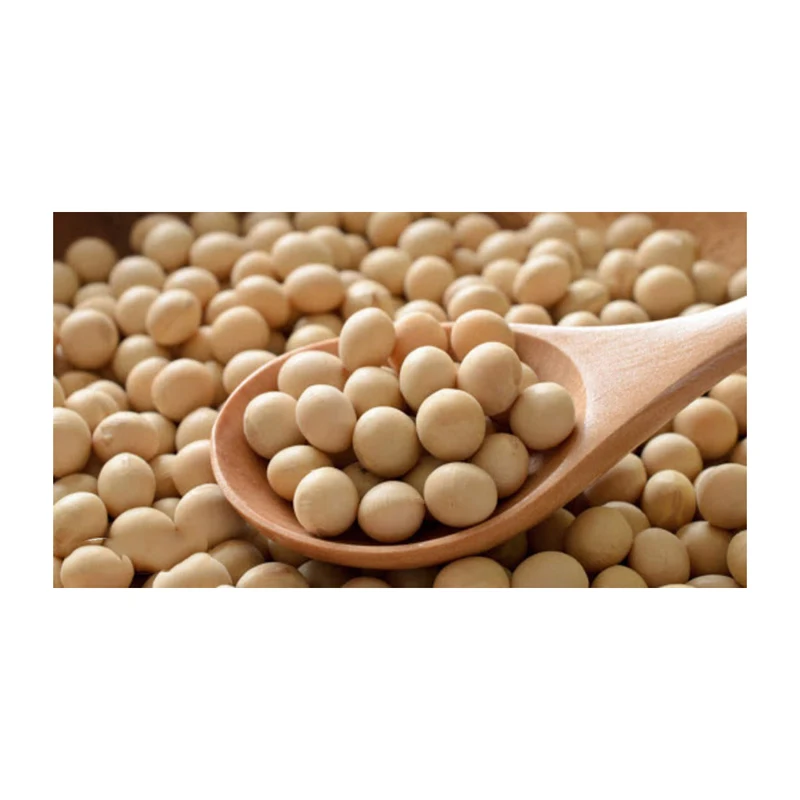 Good quality soya bean for oil soybean  Soybean Seeds with reasonable price