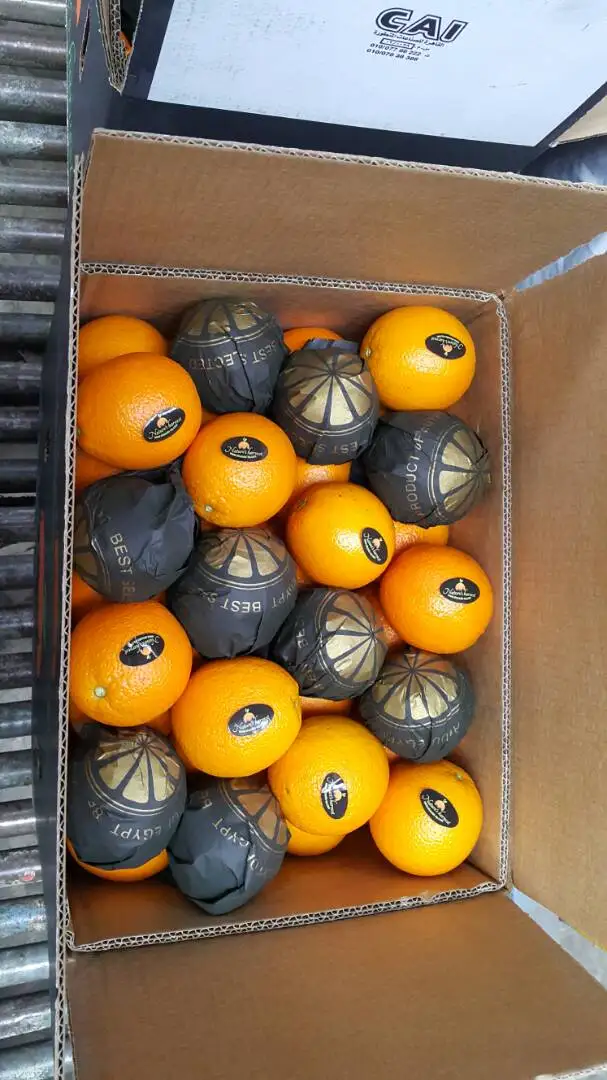 Natural Valencia Orange Very Sweet Juice Citrus Fruits Supply Manadarin, Lemon concertrates