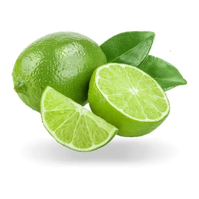 Wholesale Organic Green Lemon GREEN LIME SEEDLESS LIME