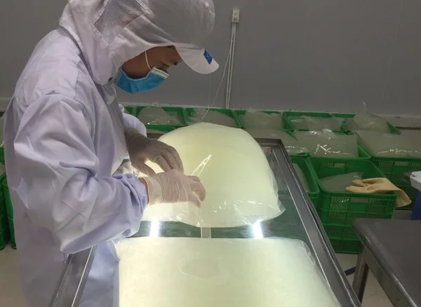 Дистрибьютор Желе Алоэ Вера во Вьетнаме/горячие продукты 2022/мисс