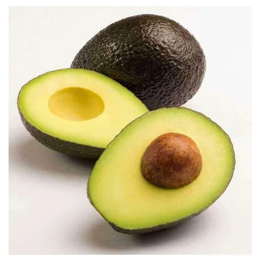 Свежий авокадо на экспорт по лучшей цене Стандартный Высокий тропический фрукт новый оптовый Здоровый премиум