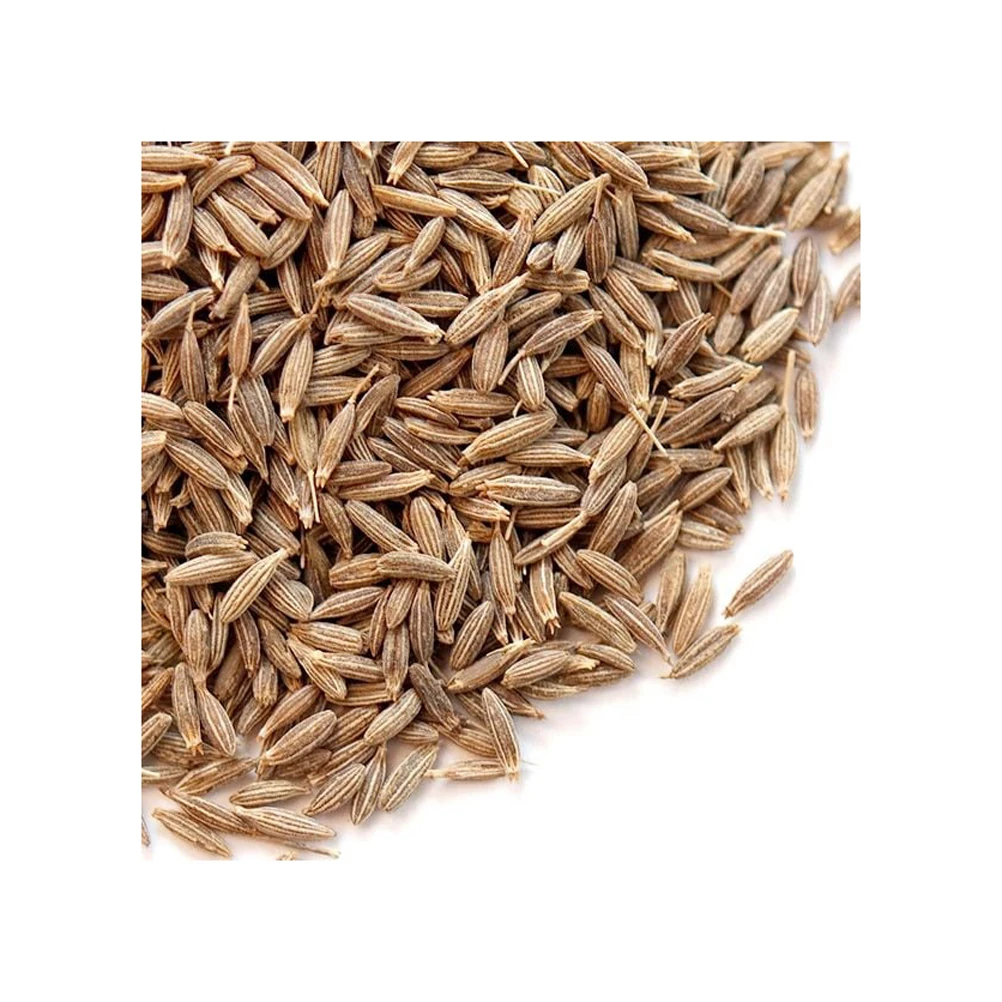 Hot sale quality spice cumin seed At low Price offer
