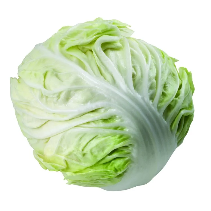 2023 Low Price High Quality Variety Vegetables Fresh White Cabbage Made In Vietnam Round Vegetables Available for Bulk Export