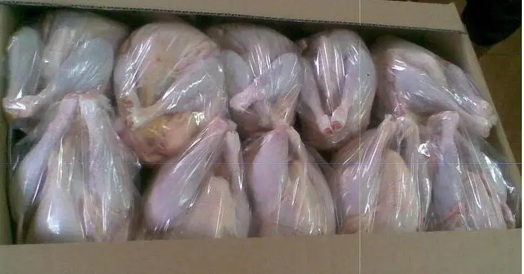 Chicken Wings FROZEN HALAL Approved 10 - 12 Kg Box Packaging POULTRY from BR Body IQF