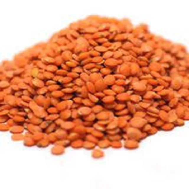 High quality Lentils Beans, Red Lentils Canada, Red Lentil Specifications at best price