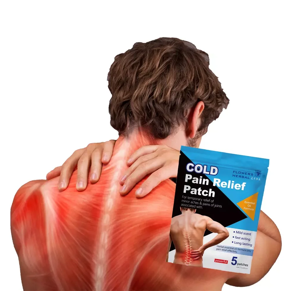 Amazon Hot Sale Tradition herbal Chinese Medicine Pain Relief Patch Salonpas For Muscle Ache