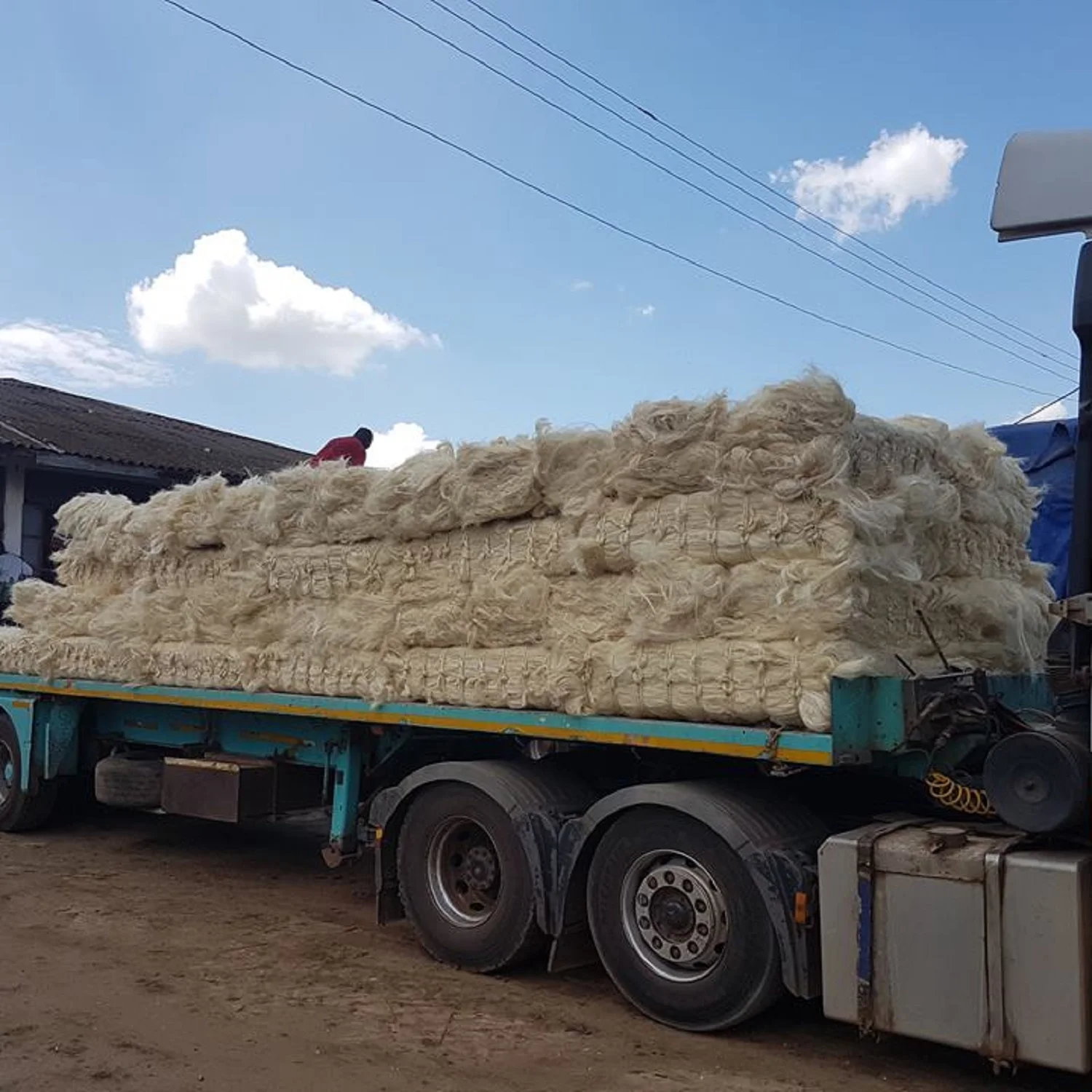 buy Sisal Fibre for sale hot discount / Natural white sisal fiber material price sisal fiber