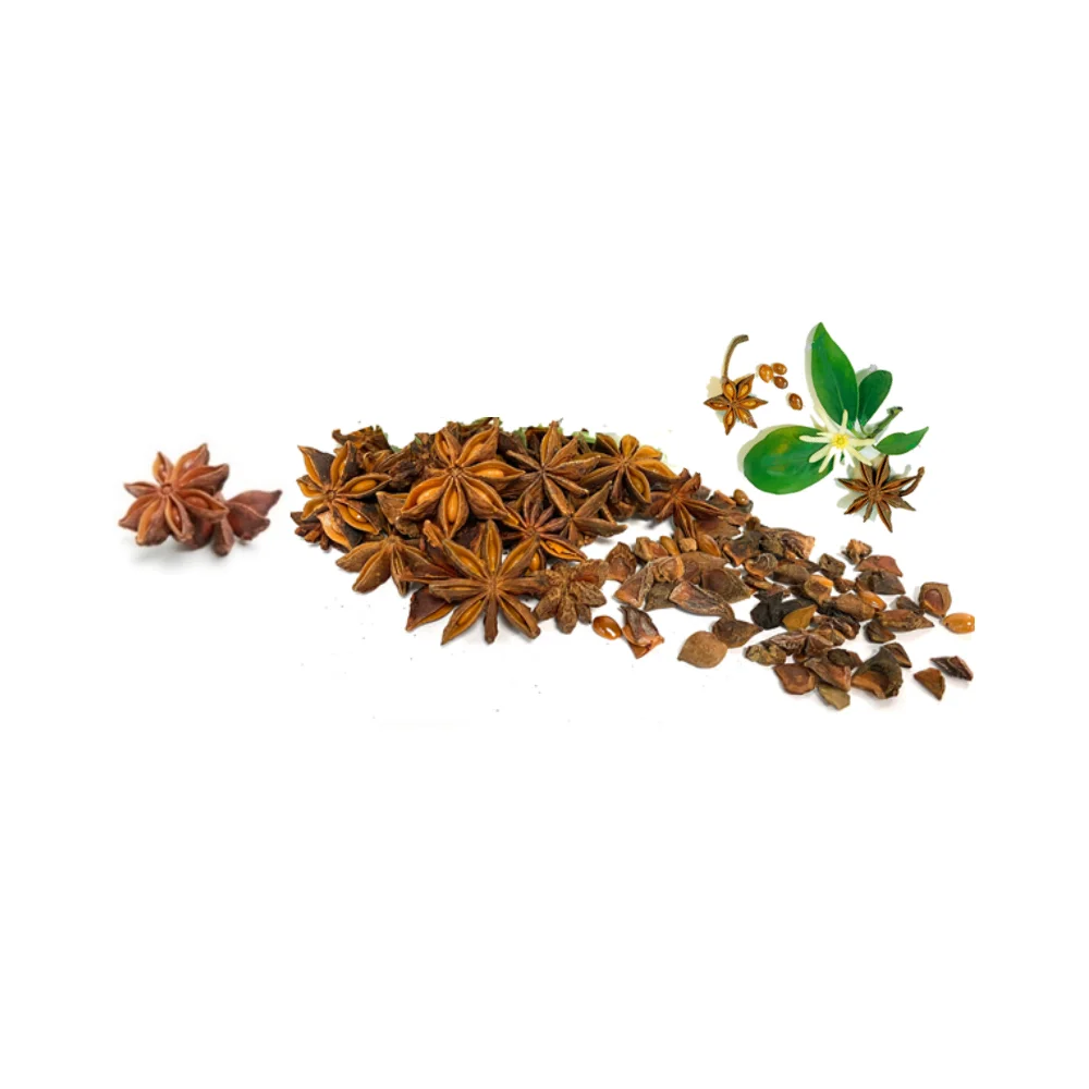 Factory Wholesales Customized Spices Dried BROKEN Star Aniseed made in Vietnam 2022  with cheap price